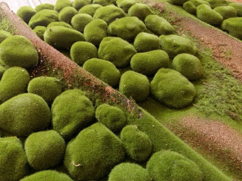 Искусственный мох Darvin Moss Design №12 Stones - фото 5