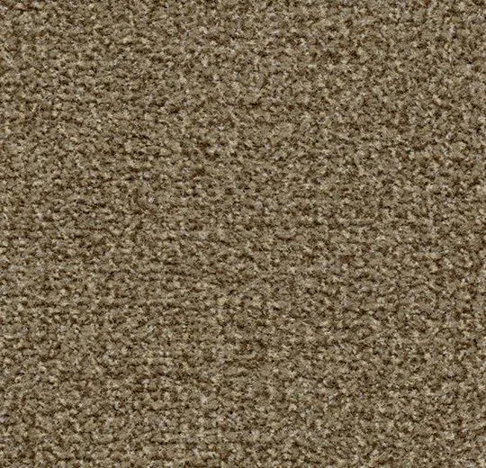 Ковролин грязезащитный Forbo Coral Classic 4774 Khaki 27,5м х105 см Ковролин грязезащитный Forbo Coral Classic 4774 Khaki 27,5м х105 см