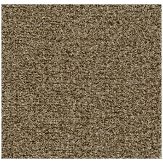 Ковролин грязезащитный Forbo Coral Classic 4774 Khaki 27,5м х105 см - фото 2