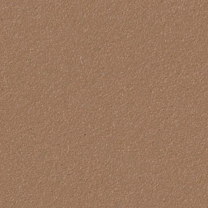 Настенный линолеум Forbo Bulletin Board 183 6.0 2166 nutmeg spice (ш. р. 1.83 м)