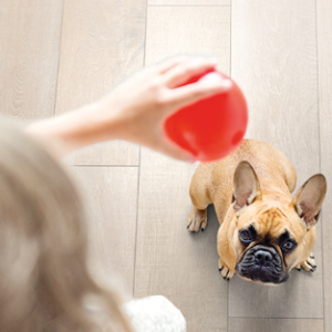 Виниловый ламинат SPC Rocko Vinyl R071 Crystal Shore