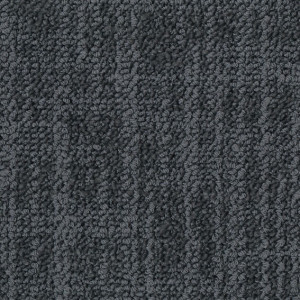 Ковровая плитка Desso Frisk 9512