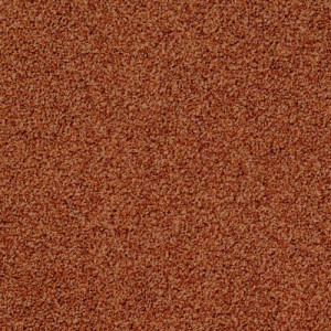 Ковровая плитка Desso Torso 5213