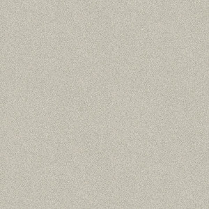 Линолеум IVC Semi Contract Inter Samson T09 (ш.р. 3 м)