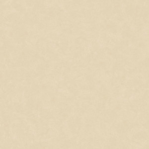 Линолеум Tarkett Acczent Esquisse 01 (ш.р. 2 м)