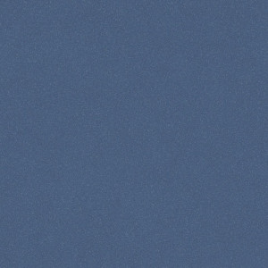 Линолеум Tarkett Acczent Pro Aspect 11 (ш.р. 3 м)