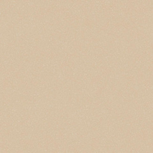 Линолеум Tarkett Acczent Pro Aspect 5 (ш.р. 3.5 м)