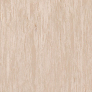 Линолеум Tarkett Standart Plus Light Beige 0479 (ш.р. 2 м)