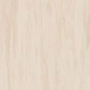 Линолеум Tarkett Standart Plus Sand Light 0912 (ш.р. 2 м)