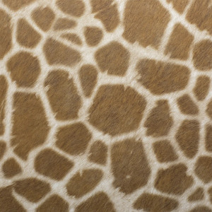 Кварцвиниловая плитка ПВХ Tarkett  Art Vinyl Lounge Digi Edition DJ Benny