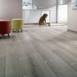 Ламинат HomFlor Strong 437 Durban