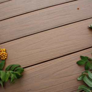 Террасная доска Terrapol Практик Коэкструзия Тибет мультиколор кантри 3D 24х147х3000 мм