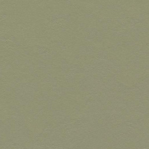 Виниловый ламинат Forbo Marmoleum Click 300х300 333355 Rosemary Green