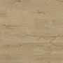 Ламинат Kaindl Easy Touch High Gloss O270 HG Oak Wild