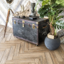 SPC ламинат Alpine Floor Expressive Parquet Eco 10-2 Кантрисайд side A