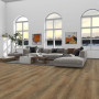 SPC ламинат Alpine Floor Premium XL ABA Eco 7-31 Дуб Эльнат