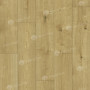 SPC ламинат Alpine Floor Pro Nature 61865 Nore