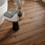 Виниловый ламинат The Floor Wood P1005 Portland Oak