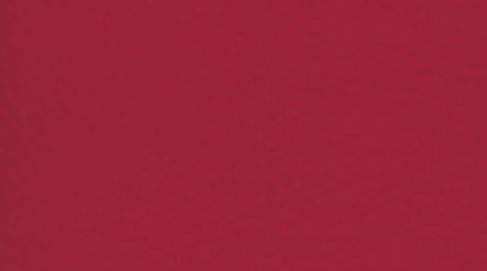 Спортивный линолеум Gerflor Taraflex Performance Uni 6180 Red Спортивный линолеум Gerflor Taraflex Performance Uni 6180 Red