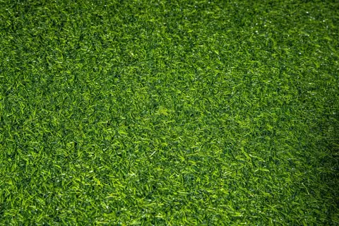 Искусственная трава Grass Premium 25