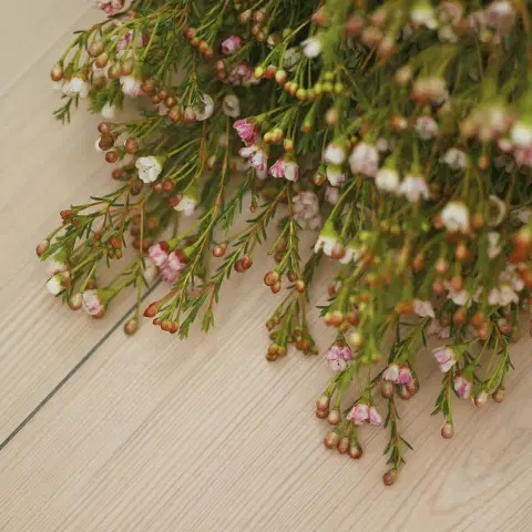 Ламинат Alloc Original 05201 White Pine (Сосна Белая) - миниатюра 3