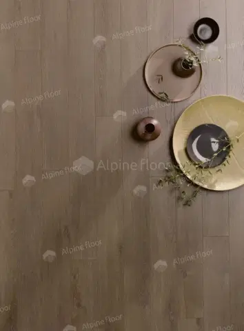 Ламинат HomFlor Patio 560 Olbia Oak