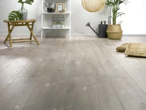 Ламинат HomFlor Strong 536 Long Island