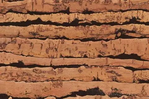 Пробковые полы Corkstyle Natural Cork Tigre Lock
