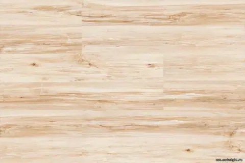 Пробковые полы Corkstyle Wood Maple Lock