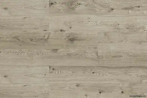 Пробковые полы Corkstyle Wood Oak Grey Glue