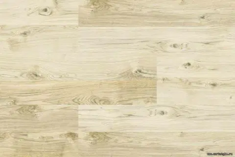 Пробковые полы Corkstyle Wood Oak Virginia White Glue