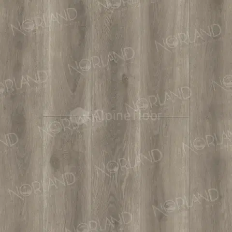 SPC PRO ламинат Norland NeoWood 2001-6 Templet