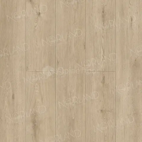 SPC ламинат Norland Sigrid Plus 1006-1 Abbi