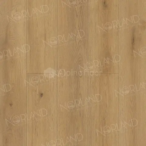 SPC ламинат Norland Sigrid Plus 1006-10 Blake