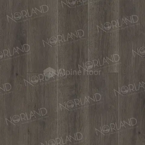 SPC ламинат Norland Sigrid Plus 1006-2 Baggy