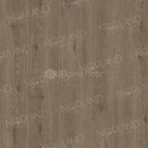 SPC ламинат Norland Sigrid Plus 1006-3 Flosi