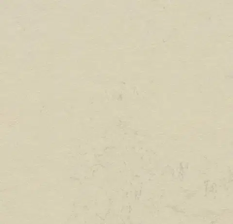 Виниловый ламинат Forbo Marmoleum Click 600х300 633701 Moon