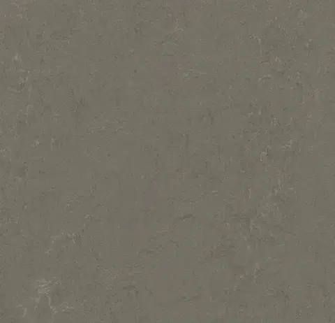 Виниловый ламинат Forbo Marmoleum Click 600х300 633723 Nebula